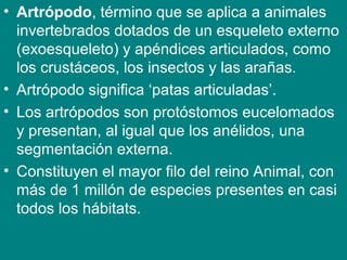• Artrópodo, término que se aplica a animales
invertebrados dotados de un esqueleto externo
(exoesqueleto) y apéndices articulados, como
los crustáceos, los insectos y las arañas.
• Artrópodo significa ‘patas articuladas’.
• Los artrópodos son protóstomos eucelomados
y presentan, al igual que los anélidos, una
segmentación externa.
• Constituyen el mayor filo del reino Animal, con
más de 1 millón de especies presentes en casi
todos los hábitats.
 