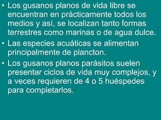 • Los gusanos planos de vida libre se
encuentran en prácticamente todos los
medios y así, se localizan tanto formas
terrestres como marinas o de agua dulce.
• Las especies acuáticas se alimentan
principalmente de plancton.
• Los gusanos planos parásitos suelen
presentar ciclos de vida muy complejos, y
a veces requieren de 4 o 5 huéspedes
para completarlos.
 