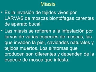 Miasis
• Es la invasión de tejidos vivos por
LARVAS de moscas biontófagas carentes
de aparato bucal.
• Las miasis se refieren a la infestación por
larvas de varias especies de moscas, las
que invaden la piel, cavidades naturales y
tejidos muertos. Los síntomas que
producen son diferentes y dependen de la
especie de mosca que infesta.
 