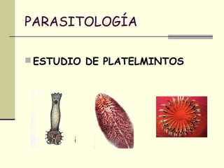 PARASITOLOGÍA
 ESTUDIO DE PLATELMINTOS
 