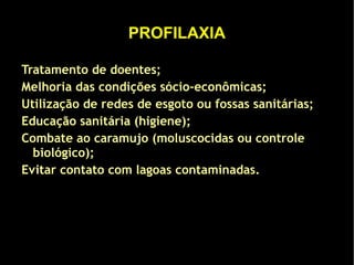 O alimento é ingerido pela boca, situada na superfície ventral do  