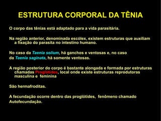 faringe e intestino. Não possuem ânus, os restos alimentares são eliminados pela boca.  