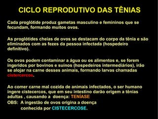 REGENERAÇÃO Cada parte seccionada de uma planária, dará origem a um novo indivíduo 