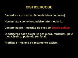 Causa uma verminose chamada de esquistossomose ou barriga d’água. 