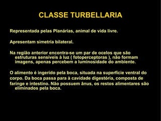 Apresentam sistema digestório incompleto, não possuem ânus. Exceto os pertencentes à classe Cestoda que não possuem sistema digestòrio. 