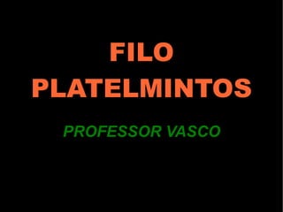 FILO PLATELMINTOS PROFESSOR VASCO 
