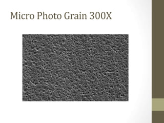 Micro Photo Grain 300X
 