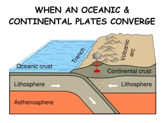 WHEN AN OCEANIC & CONTINENTAL PLATES CONVERGE 