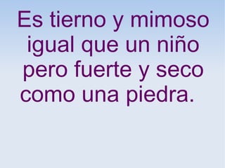 Es tierno y mimoso
igual que un niño
pero fuerte y seco
como una piedra.
