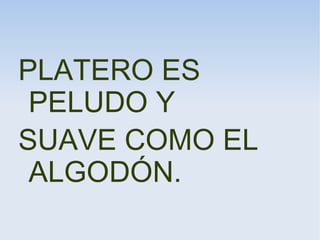 PLATERO ES
PELUDO Y
SUAVE COMO EL
ALGODÓN.