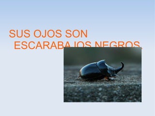 SUS OJOS SON
ESCARABAJOS NEGROS.