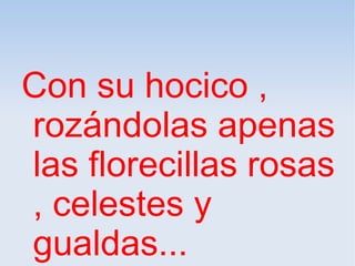 Con su hocico ,
rozándolas apenas
las florecillas rosas
, celestes y
gualdas...