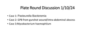 Plate Round Discussion 1/10/24
• Case 1: Pasteurella Bacteremia
• Case 2: GPB from gunshot wound/intra-abdominal abscess
• Case 3:Mycobacterium haemophilum
 