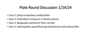 Plate Round Discussion 1/24/24
• Case 1: Strep constellatus endocarditis
• Case 2: Clostridium ramosum in blood cultures
• Case 3: Bergeyella zoohelcum from cat bite
• Case 4: Haemophilus parainfluenzae bacteremia and endocarditis
 