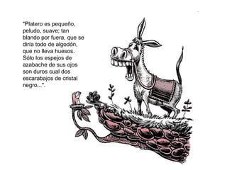 "Platero es pequeño, peludo, suave; tan blando por fuera, que se diría todo de algodón, que no lleva huesos. Sólo los espejos de azabache de sus ojos son duros cual dos escarabajos de cristal negro...".  