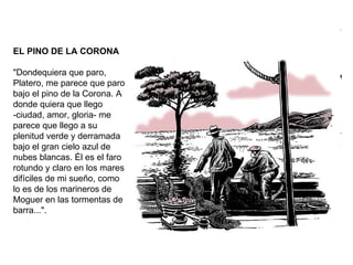 EL PINO DE LA CORONA "Dondequiera que paro, Platero, me parece que paro bajo el pino de la Corona. A donde quiera que llego -ciudad, amor, gloria- me parece que llego a su plenitud verde y derramada bajo el gran cielo azul de nubes blancas. Él es el faro rotundo y claro en los mares difíciles de mi sueño, como lo es de los marineros de Moguer en las tormentas de barra...". 
