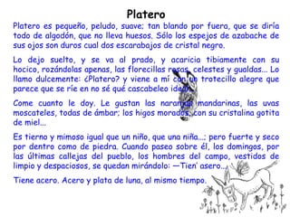 Platero
Platero es pequeño, peludo, suave; tan blando por fuera, que se diría
todo de algodón, que no lleva huesos. Sólo los espejos de azabache de
sus ojos son duros cual dos escarabajos de cristal negro.
Lo dejo suelto, y se va al prado, y acaricia tibiamente con su
hocico, rozándolas apenas, las florecillas rosas, celestes y gualdas... Lo
llamo dulcemente: ¿Platero? y viene a mí con un trotecillo alegre que
parece que se ríe en no sé qué cascabeleo ideal...
Come cuanto le doy. Le gustan las naranjas mandarinas, las uvas
moscateles, todas de ámbar; los higos morados, con su cristalina gotita
de miel...
Es tierno y mimoso igual que un niño, que una niña...; pero fuerte y seco
por dentro como de piedra. Cuando paseo sobre él, los domingos, por
las últimas callejas del pueblo, los hombres del campo, vestidos de
limpio y despaciosos, se quedan mirándolo: —Tien’ asero...
Tiene acero. Acero y plata de luna, al mismo tiempo.
 