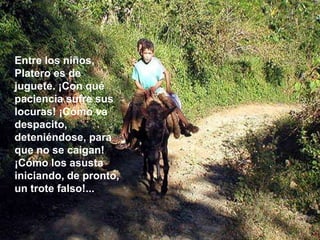 Entre los niños,
Platero es de
juguete. ¡Con qué
paciencia sufre sus
locuras! ¡Cómo va
despacito,
deteniéndose, para
que no se caigan!
¡Cómo los asusta
iniciando, de pronto,
un trote falso!...
 