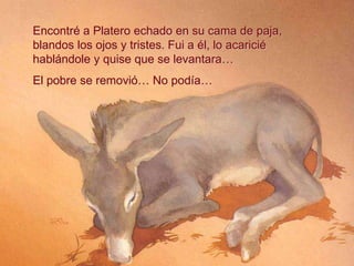Encontré a Platero echado en su cama de paja,
blandos los ojos y tristes. Fui a él, lo acaricié
hablándole y quise que se levantara…
El pobre se removió… No podía…
 