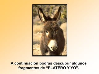 A continuación podrás descubrir algunos
    fragmentos de “PLATERO Y YO”.
 