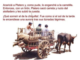 Acaricié a Platero y, como pude, lo enganché a la carretilla.
Entonces, con un tirón, Platero sacó carreta y rucio del
atolladero y les subió la cuesta.
¡Qué sonreír el de la chiquilla!. Fue como si el sol de la tarde
le encendiese una aurora tras sus tiznadas lágrimas.
 