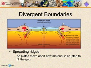 • Spreading ridges
– As plates move apart new material is erupted to
fill the gap
Divergent Boundaries
 