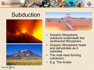 • Oceanic lithosphere
subducts underneath the
continental lithosphere
• Oceanic lithosphere heats
and dehydrates as it
subsides
• The melt rises forming
volcanism
• E.g. The Andes
Subduction
 