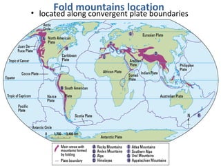 • located along convergent plate boundaries
Fold mountains location
 