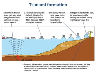 Tsunami formation
 