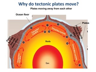 Plates moving away from each other
Platesmoving
towards
eachother
Platesmoving
towardseach
other
Plates
Ocean floor
Why do tectonic plates move?
 