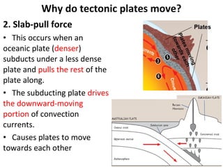 2. Slab-pull force
• This occurs when an
oceanic plate (denser)
subducts under a less dense
plate and pulls the rest of the
plate along.
• The subducting plate drives
the downward-moving
portion of convection
currents.
• Causes plates to move
towards each other
Why do tectonic plates move?
 