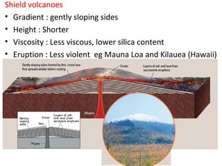 Shield volcanoes
• Gradient : gently sloping sides
• Height : Shorter
• Viscosity : Less viscous, lower silica content
• Eruption : Less violent eg Mauna Loa and Kilauea (Hawaii)
 