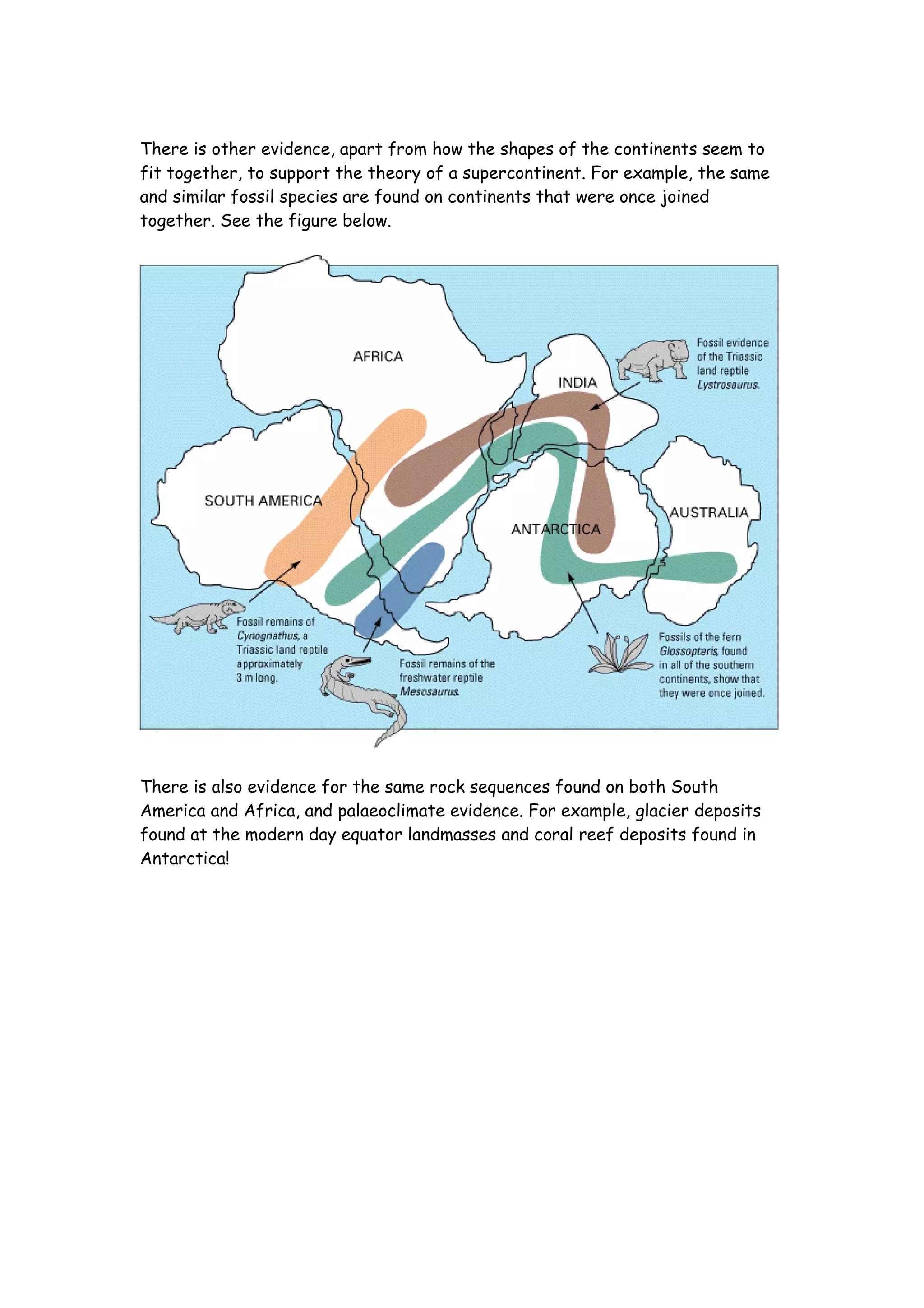 There is other evidence, apart from how the shapes of the continents seem to
fit together, to support the theory of a supercontinent. For example, the same
and similar fossil species are found on continents that were once joined
together. See the figure below.




There is also evidence for the same rock sequences found on both South
America and Africa, and palaeoclimate evidence. For example, glacier deposits
found at the modern day equator landmasses and coral reef deposits found in
Antarctica!
 