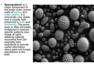 • Sporopollenin is a
major component of
the tough outer (exine)
walls of spores and
pollen grains. It is
chemically very stable
and is usually well
preserved in soils and
sediments. The exine
layer is often intricately
sculptured in species-
specific patterns (see
image at right),
allowing material
recovered from (for
example) lake
sediments to provide
useful information
about plant and fungal
populations in the
past.
 