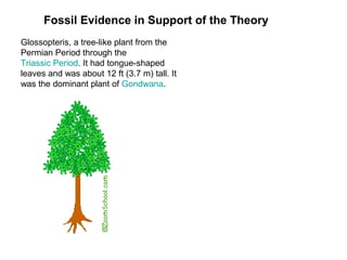 Fossil Evidence in Support of the Theory
Glossopteris, a tree-like plant from the
Permian Period through the
Triassic Period. It had tongue-shaped
leaves and was about 12 ft (3.7 m) tall. It
was the dominant plant of Gondwana.
 