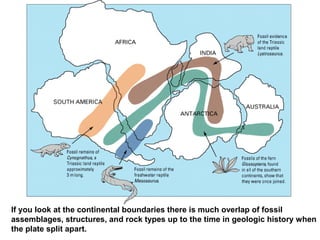 If you look at the continental boundaries there is much overlap of fossil
assemblages, structures, and rock types up to the time in geologic history when
the plate split apart.
 