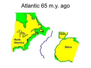 Atlantic 65 m.y. ago 