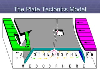 The Plate Tectonics Model 