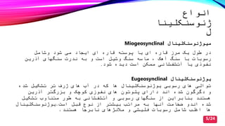 ‫انواع‬
‫ﮊ‬‫ئوسنکلینا‬
‫ل‬
‫میو‬‫ﮊ‬‫ئوسنکلین‬‫ال‬Miogeosynclinal
‫وشامل‬ ‫شود‬ ‫می‬ ‫ایجاد‬ ‫ای‬ ‫قاره‬ ‫پوسته‬ ‫یا‬ ‫ای‬ ‫قاره‬ ‫مرز‬ ‫یک‬ ‫طول‬ ‫در‬
‫وشیل‬ ‫سنگ‬ ‫ماسه‬ ‫آهک‬ ‫سنگ‬ ‫با‬ ‫رسوبات‬‫و‬ ‫است‬‫به‬‫آذرین‬ ‫سنگهای‬ ‫ندرت‬
‫شود‬ ‫دیده‬ ‫است‬ ‫ممکن‬ ‫آتشفشانی‬ ‫یا‬ ‫نفوذی‬.
‫یو‬‫ﮊ‬‫ئوسنکلین‬‫ال‬Eugeosynclinal
‫توالی‬‫شده‬ ‫تشکیل‬ ‫تر‬ ‫ژرف‬ ‫های‬ ‫آ‬ ‫در‬ ‫که‬ ‫ها‬ ‫یوژئوسنکلینال‬ ‫رسوبی‬ ‫های‬
‫و‬ ‫کوچک‬ ‫نفوزی‬ ‫های‬ ‫پلوتون‬ ‫دارای‬ ‫اند‬ ‫شده‬ ‫دگرگون‬ ‫و‬‫بزرگتر‬‫آذرین‬
‫هستند‬‫از‬ ‫بنابراین‬‫سنگهای‬‫متناو‬ ‫طور‬ ‫به‬ ‫آتشفشانی‬ ‫و‬ ‫رسوبی‬‫تشکیل‬
‫اند‬ ‫شده‬‫و‬‫قبل‬ ‫نوع‬ ‫از‬ ‫بیشتر‬ ‫مرات‬ ‫به‬ ‫آنها‬ ‫ضصامت‬‫است‬.‫یوژئوسنکلینال‬
‫هستند‬ ‫نابرجا‬ ‫مالنژهای‬ ‫و‬ ‫فلیشی‬ ‫رسوبات‬ ‫شامل‬ ‫اغل‬ ‫ها‬.
5/24
 