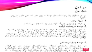 ‫مراحل‬
‫تکامل‬
‫شوروی‬ ‫علوم‬ ‫آکادمی‬ ‫عضو‬ ‫صایین‬ ‫توسط‬ ‫ژئوسنکلینال‬ ‫یک‬ ‫تشکیل‬ ‫مراحل‬
‫سابق‬:
1.‫رسو‬ ‫ورود‬
‫ی‬ ‫حوضه‬ ‫در‬‫رسوبی‬,‫می‬ ‫تجمع‬ ‫رسوبات‬ ‫ناودیس‬ ‫بزرگ‬‫کنند‬.
2.‫مرحله‬‫اولیه‬ ‫فرونشست‬
‫باعث‬ ‫حوضه‬ ‫به‬ ‫رسوبات‬ ‫ورود‬ ‫افزایش‬ ‫با‬‫افزایش‬‫فرونشینی‬ ‫دامنه‬‫که‬‫به‬
‫و‬ ‫میشود‬ ‫فرورفته‬ ‫منطقه‬ ‫کلی‬ ‫گسترش‬ ‫موج‬ ‫تدریج‬‫بصش‬‫تازه‬ ‫های‬
‫ترصشکیهای‬‫کشیده‬ ‫شکستگیها‬ ‫درون‬ ‫به‬ ‫مجاور‬‫میشوند‬.‫مرحله‬ ‫این‬ ‫آصر‬ ‫در‬
‫عمیق‬ ‫فرورفتگیهای‬‫تر‬‫و‬‫برجستگیهای‬‫نام‬ ‫به‬‫ژئوآنتیکلینال‬‫در‬‫شکل‬ ‫حال‬
‫هستند‬ ‫گرفتن‬.
3.‫پیش‬ ‫مرحله‬‫کوهستانی‬
‫در‬‫این‬‫مرحله‬‫ساصتمان‬‫دستگاه‬‫ﮊ‬‫ئوسنکلینال‬‫پیچیده‬‫تر‬‫می‬‫گردد‬.
‫برجستگیهای‬‫داصلی‬‫جدیدی‬‫پدید‬‫می‬‫آیند‬‫که‬‫اینترا‬‫ﮊ‬‫ئوآنتیکلینال‬
‫نامیده‬‫میشود‬‫و‬‫فرورفتگیهای‬‫باریک‬‫و‬‫باریکتر‬‫نیز‬‫شکل‬‫می‬‫گیرند‬.‫آصر‬ 6/24
 
