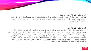 4.‫اولیه‬ ‫کوهزایی‬ ‫مرحله‬
‫دستگاه‬ ‫کلی‬ ‫آمدن‬ ‫باال‬ ‫با‬ ‫همزمان‬‫ﮊ‬‫به‬ ‫داصل‬ ‫برجستگیهای‬ ‫ئوسنکلینال‬
‫ناودیس‬ ‫و‬ ‫تاقدیس‬ ‫چینهای‬ ‫دسته‬ ‫شامل‬ ‫که‬ ‫واحدی‬ ‫صوردگیهای‬ ‫چین‬ ‫صورت‬
‫میشود‬ ‫تشکیل‬ ‫است‬.
5.‫کوهزایی‬ ‫مرحله‬
‫دره‬ ‫با‬ ‫بلند‬ ‫کوههای‬ ‫رشته‬ ‫باالرونده‬ ‫حرکات‬ ‫سرعت‬ ‫افزایش‬ ‫با‬ ‫نهایت‬ ‫در‬
‫دستگاه‬ ‫محل‬ ‫در‬ ‫ارتفاعات‬ ‫بین‬ ‫عمیق‬ ‫های‬‫ﮊ‬‫گیرد‬ ‫می‬ ‫شکل‬ ‫ئوسنکلینال‬.‫در‬
‫دستگاه‬ ‫حالت‬ ‫این‬‫ﮊ‬‫شکستگیهای‬ ‫با‬ ‫و‬ ‫شده‬ ‫پیچیده‬ ‫صیلی‬ ‫ئوسنکلینال‬
‫است‬ ‫شده‬ ‫مشص‬ ‫متعدد‬.‫از‬ ‫ای‬ ‫جداگانه‬ ‫های‬ ‫توده‬ ‫شکستگیها‬ ‫امتداد‬ ‫در‬
‫اثر‬ ‫در‬ ‫که‬ ‫آورند‬ ‫می‬ ‫بوجود‬ ‫را‬ ‫یکنواصتی‬ ‫غیر‬ ‫ارتفاعات‬ ‫زمین‬ ‫پوسته‬
‫اند‬ ‫شده‬ ‫تشکیل‬ ‫باالرونده‬ ‫حرکات‬.
7/24
 