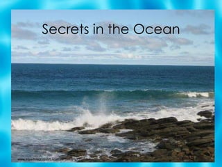 Secrets in the Ocean www.tripadvisor.com/LocationPhotos-g255055-Au... 