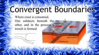 Convergent Boundaries
- Where crust is consumed.
- One subducts beneath the
other, and in the process a
trench is formed.
 