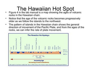 The Hawaiian Hot Spot• Figure 4 in the lab manual is a map showing the ages of volcanic
rocks in the Hawaiian chain.
• Notice that the age of the volcanic rocks becomes progressively
older as we follow the islands to the northwest.
• The pattern of islands in the Hawaiian chain shows the general
direction of movement of the Pacific Plate, and from the ages of the
rocks, we can infer the rate of plate movement.
 