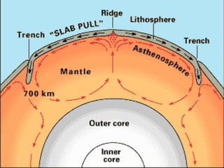 Naturalists at Large: Plate tectonics