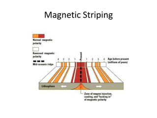 Magnetic Striping
 