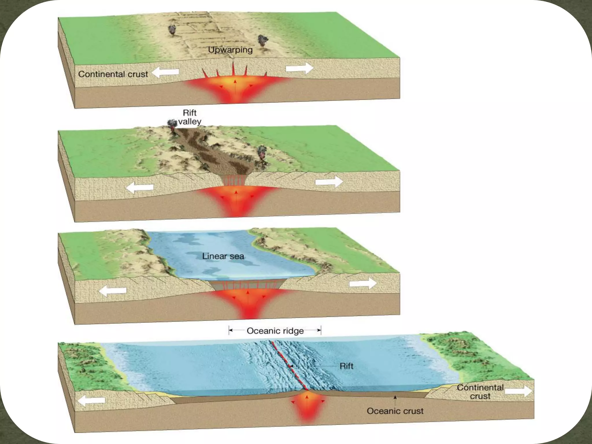 Did you know that the Earth’s longest mountain range is underwater and
is called the mid-ocean ridge?
: www.ocean.udel.edu
The Mid-Ocean Ridge system, shown above snaking its way
between the continents, is more than 56,000 kilometers (35,000 mi)
long. It circles the earth like the stitching on a baseball!
 