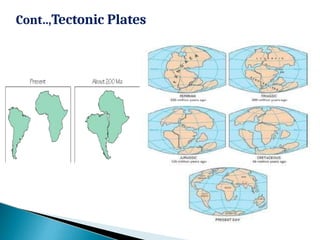 Cont..,Tectonic Plates
 