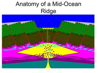 Anatomy of a Mid-Ocean
Ridge
 