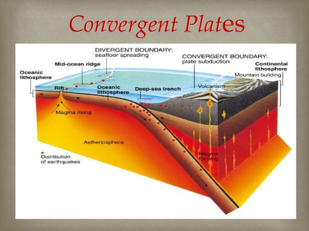 Plate tectonics Theory